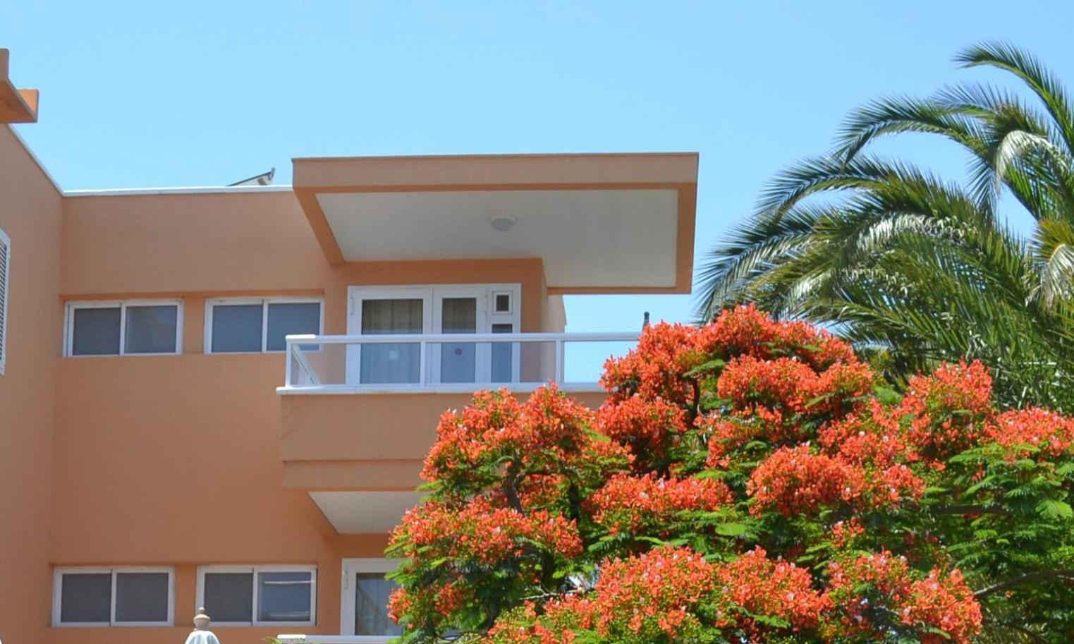Apartamentos Horizonte Плайя-дель-Инглес Номер фото