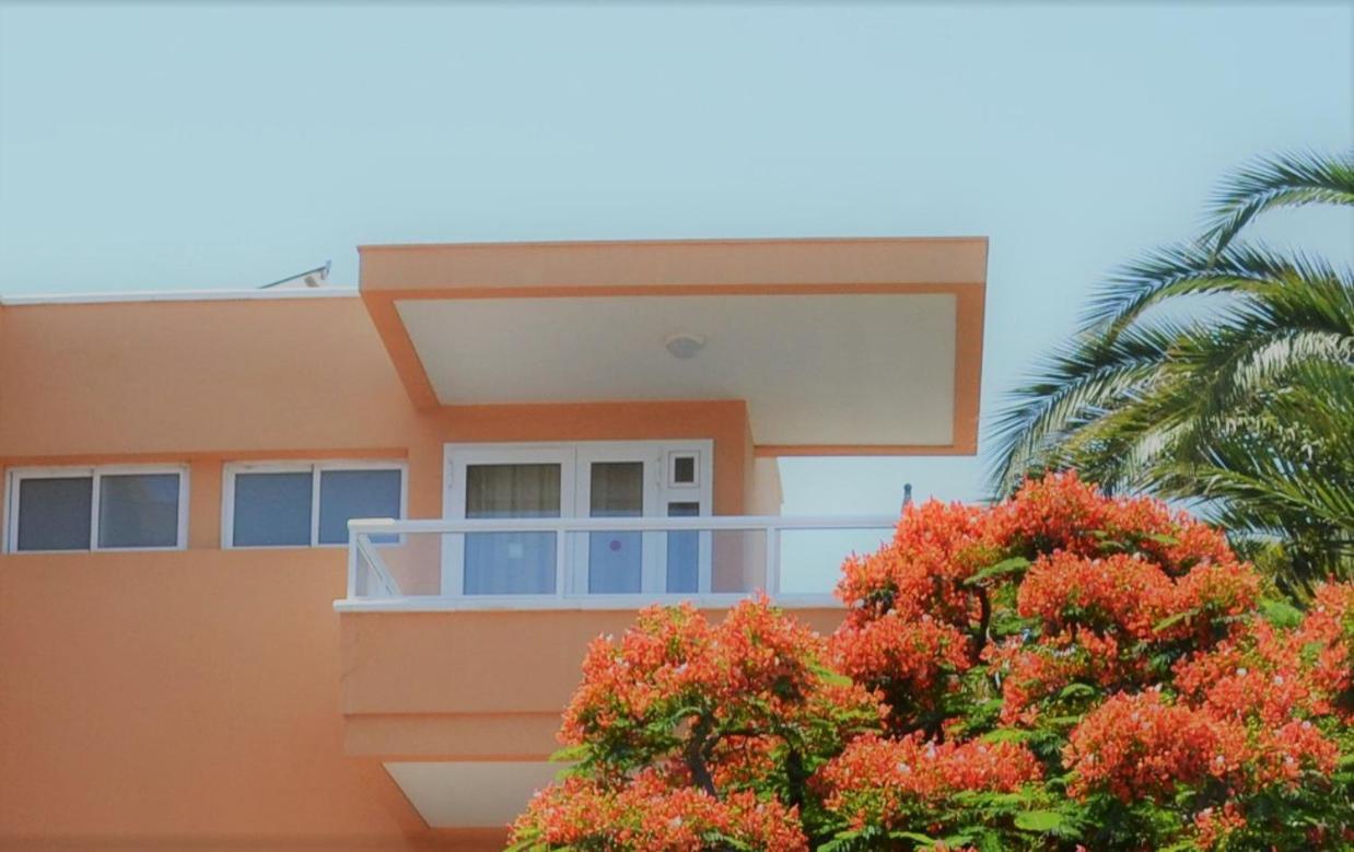Apartamentos Horizonte Плайя-дель-Инглес Номер фото