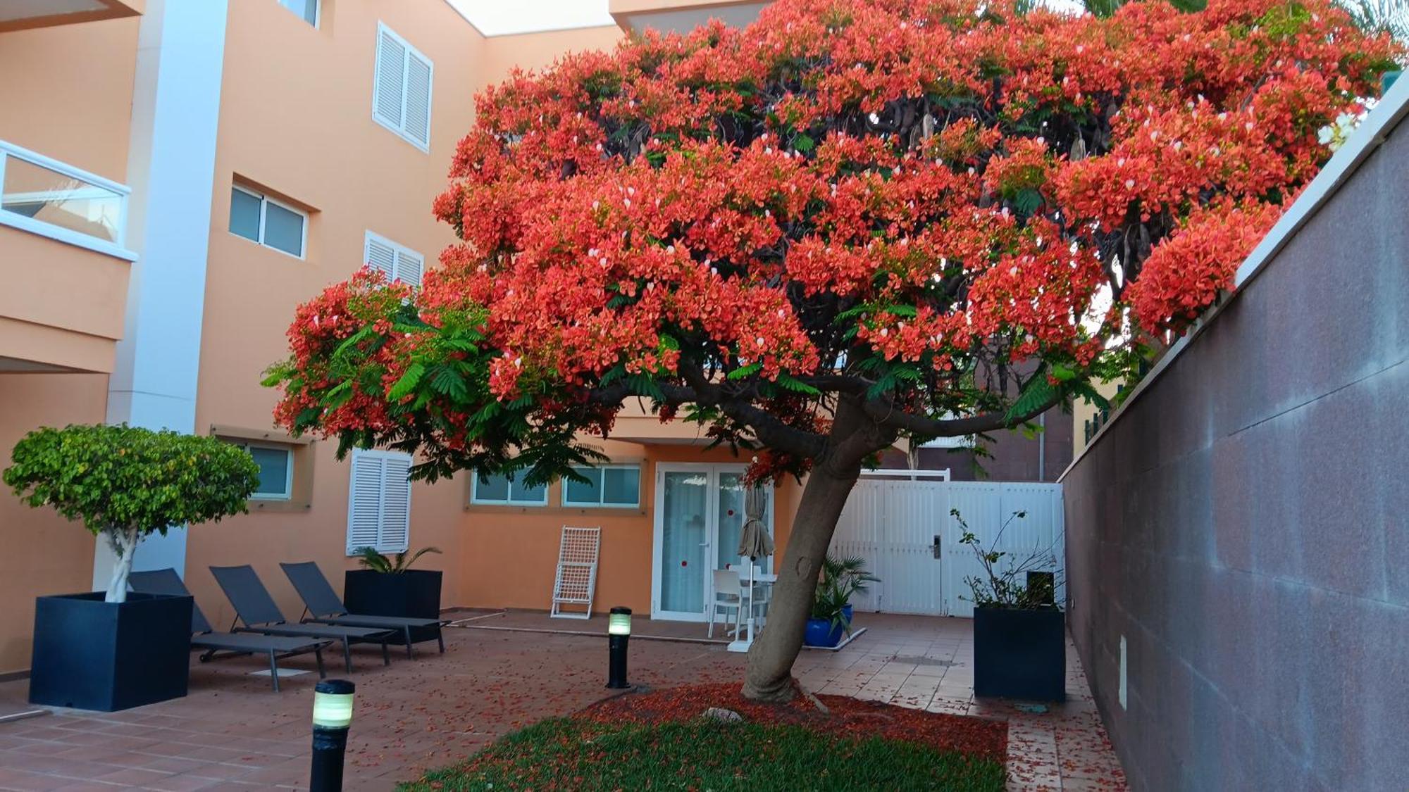 Apartamentos Horizonte Плайя-дель-Инглес Экстерьер фото