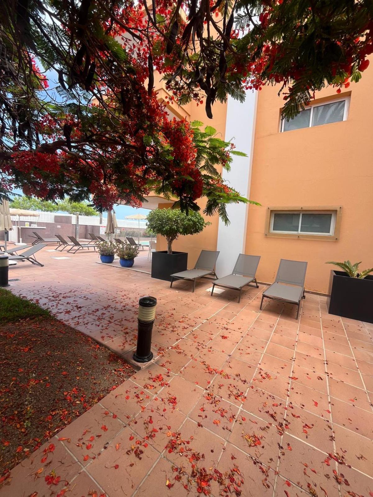 Apartamentos Horizonte Плайя-дель-Инглес Экстерьер фото